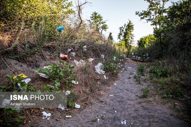 روند تخلیه زباله در جنگل های مازندران متوقف گردد
