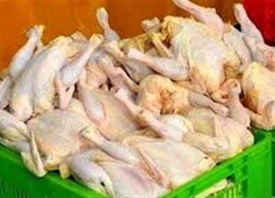 قیمت مصوب مرغ اعلام شد