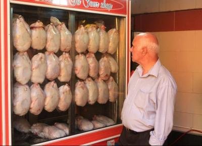 چه کسی مسئول گران شدن مرغ است؟