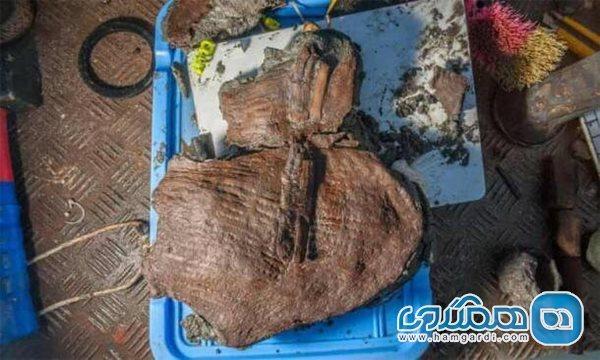 کشف سبدهای میوه چند هزار ساله در زیر دریا