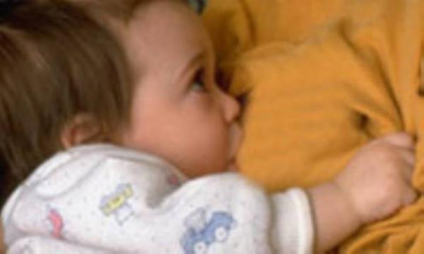 سالم سازی غذایی که مادران به فرزندشان می دهند